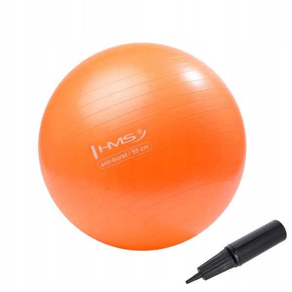 

Piłka Rehabilitacyjna Ortopedyczna 55CM Pompka