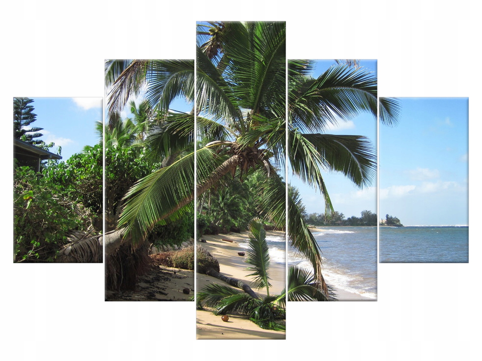 

Obraz Wakacje na tropikach Rośliny 150x105 839A_5H