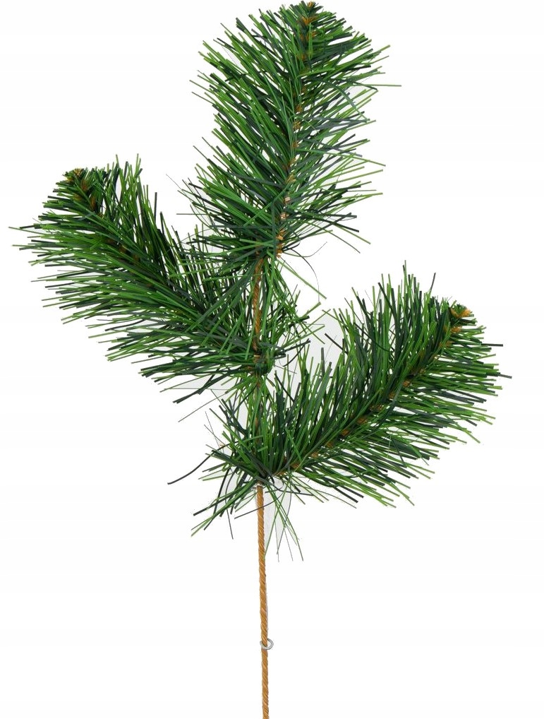 

Gałązka dekoracyjna świąteczna sosna sosnowa