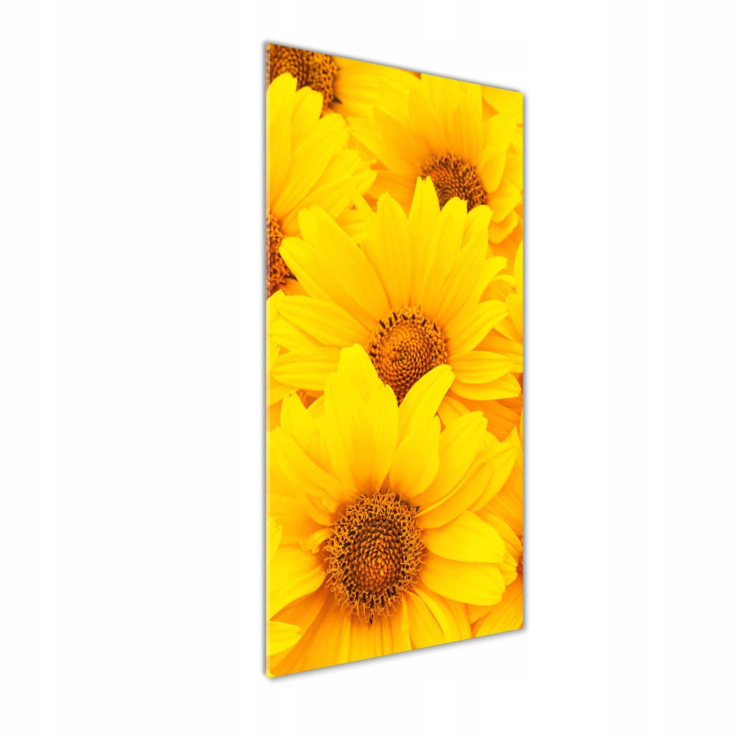 

Foto obraz szkło hartowane Słoneczniki 50x125 cm