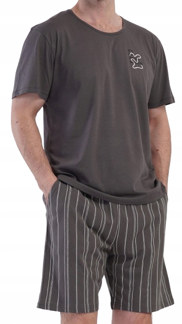 Klasické Pánské Šedé Pyžamo Tričko S Krátkým Rukávem Šortky V Pase L