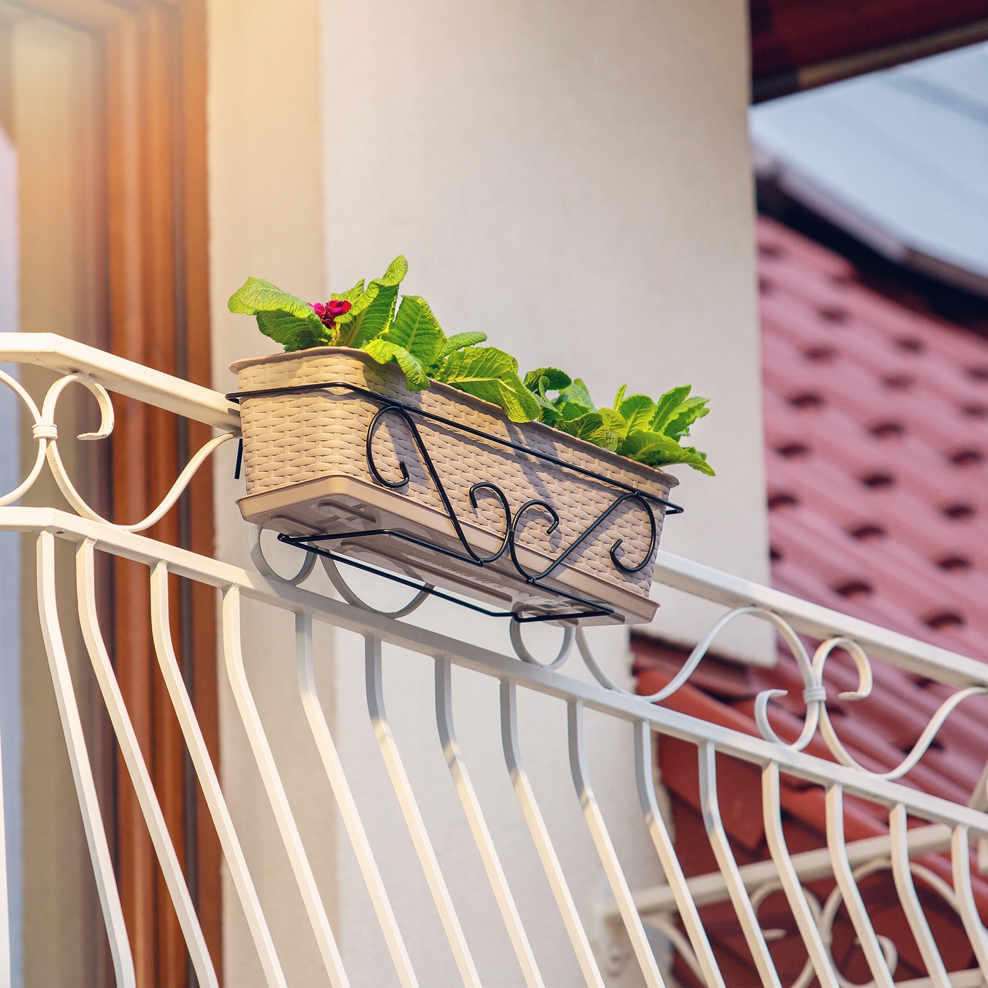 UCHWYT WIESZAK METALOWY NA DONICZKĘ BALKONOWĄ SKRZYNKĘ DONICZKI 60cm CZARNY Materiał wykonania metal