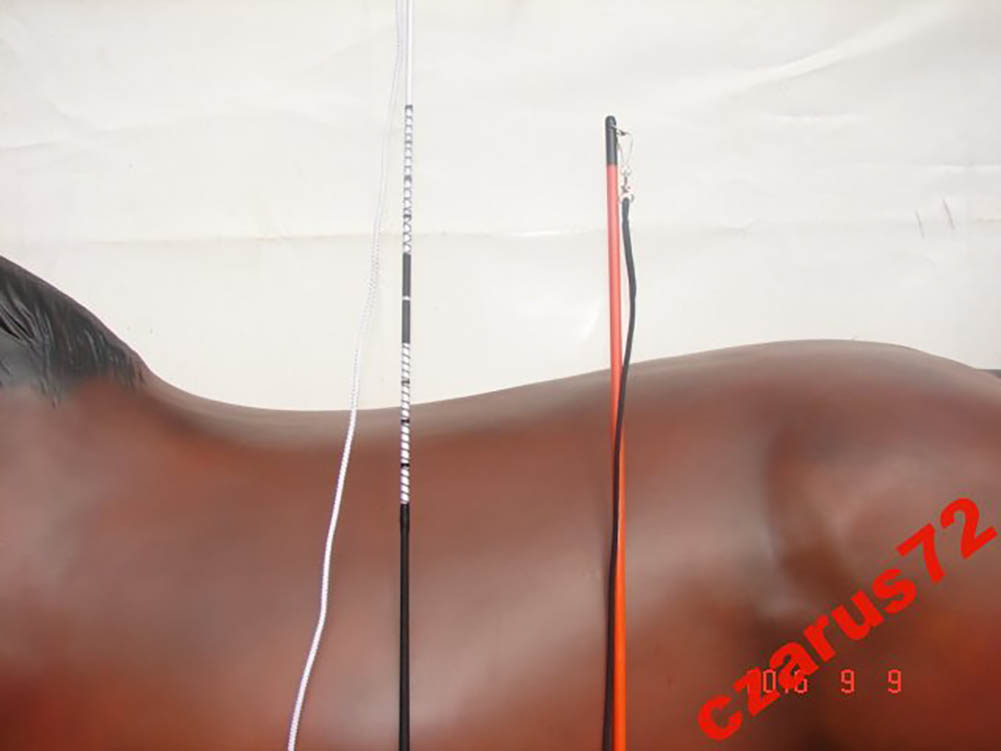 BAT DO POWOŻENIA 160CM -180CM Marka inna