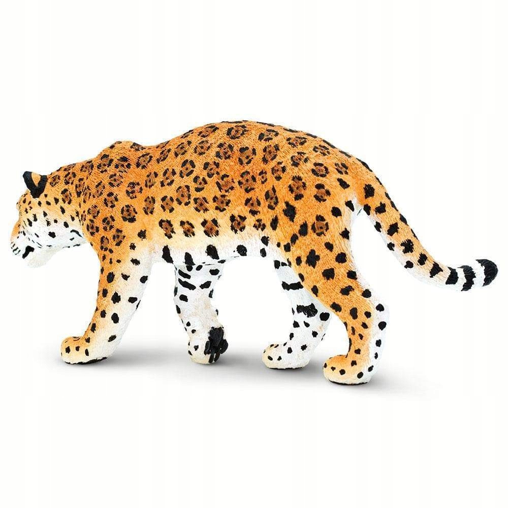 

Jaguar Safari Ltd. 227729