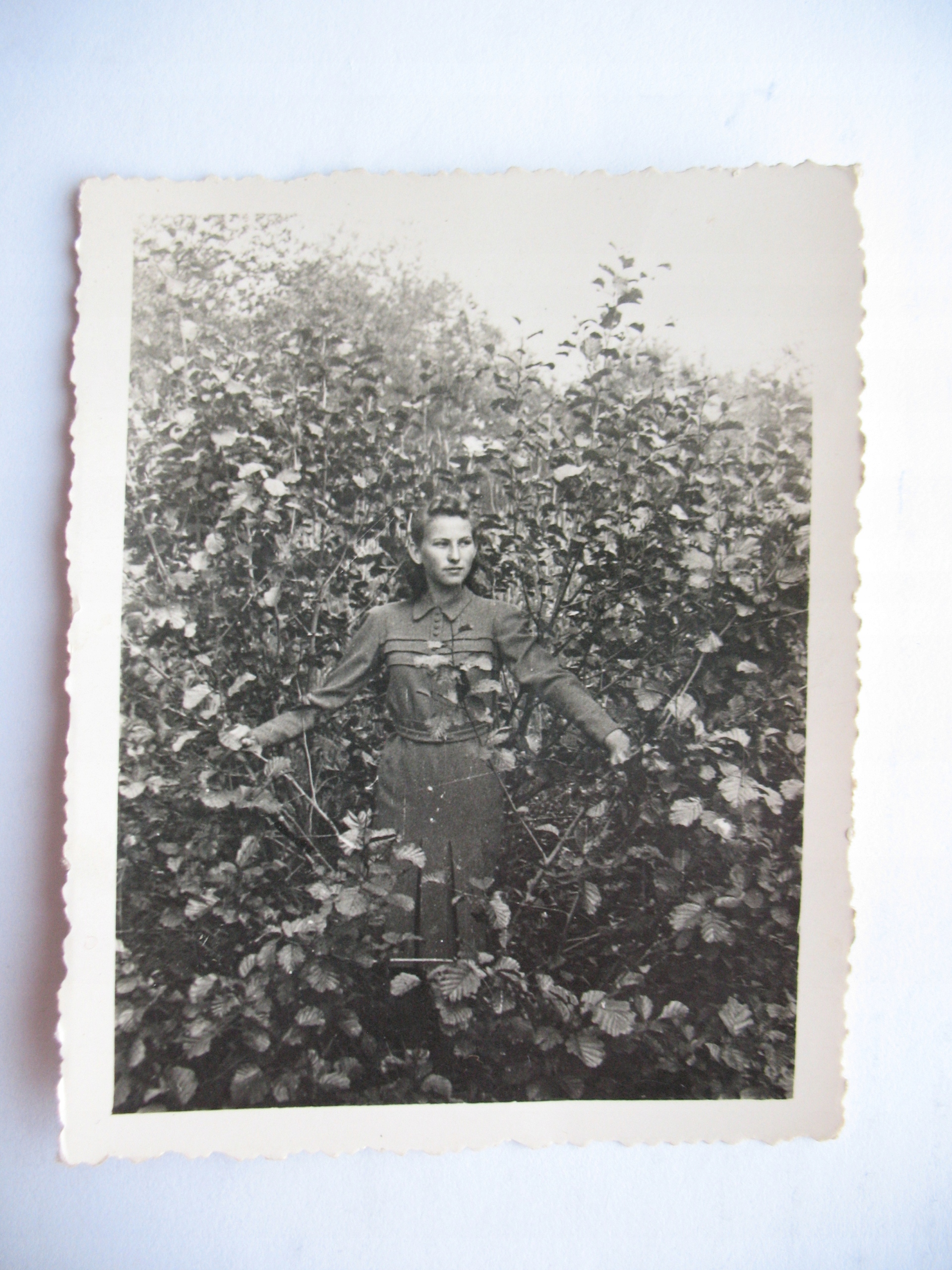 ZAKLICZYN k/TARNÓW W OGRODZIE OKUPACJA FOTO 1941 13196799001 Allegro.pl