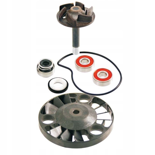 ZESTAW NAPRAWCZY POMPY WODY APRILIA PIAGGIO RMS Part number RMS100110070