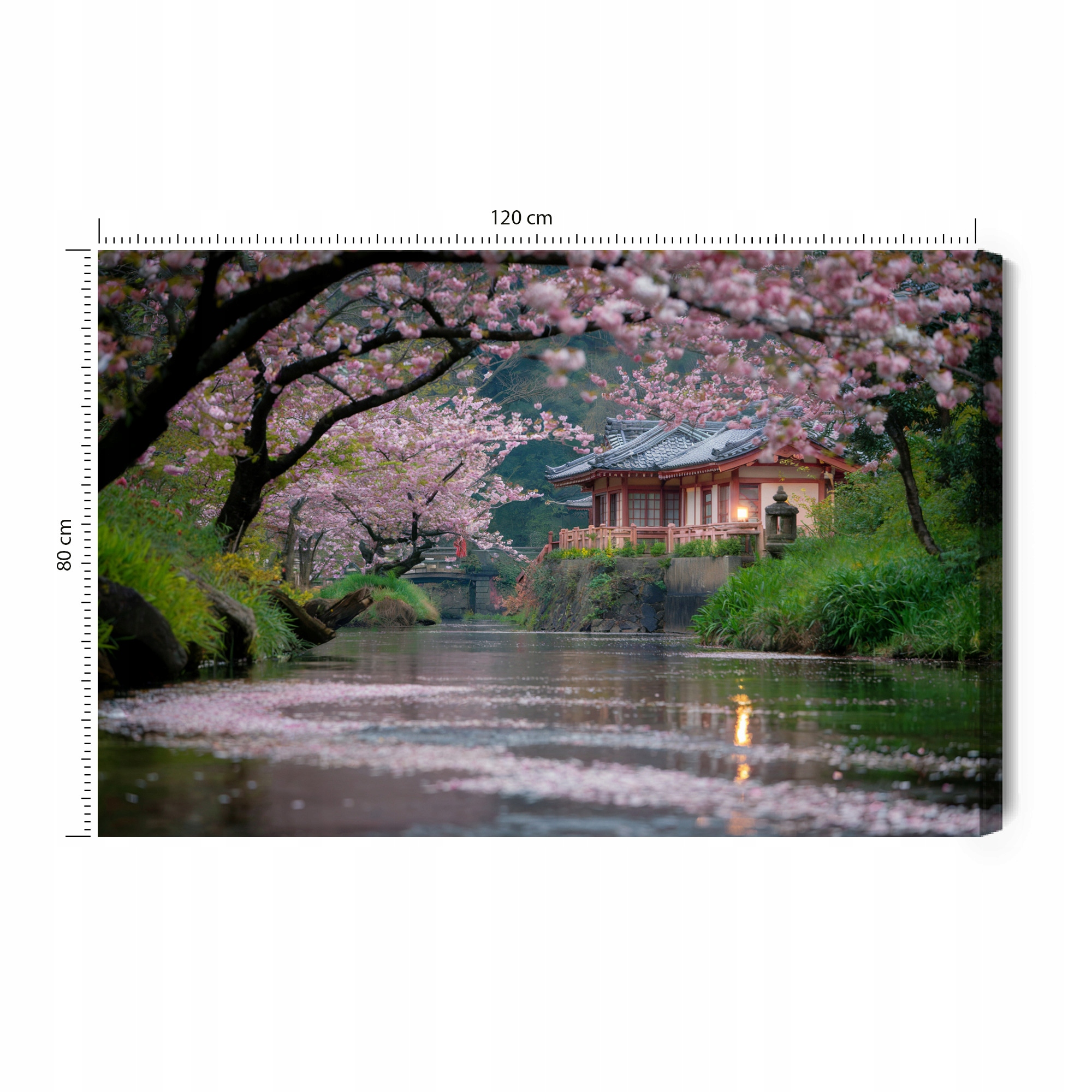 Obraz na plátně Japonsko Západ Slunce řeka višně do obývacího pokoje 120x80 cm