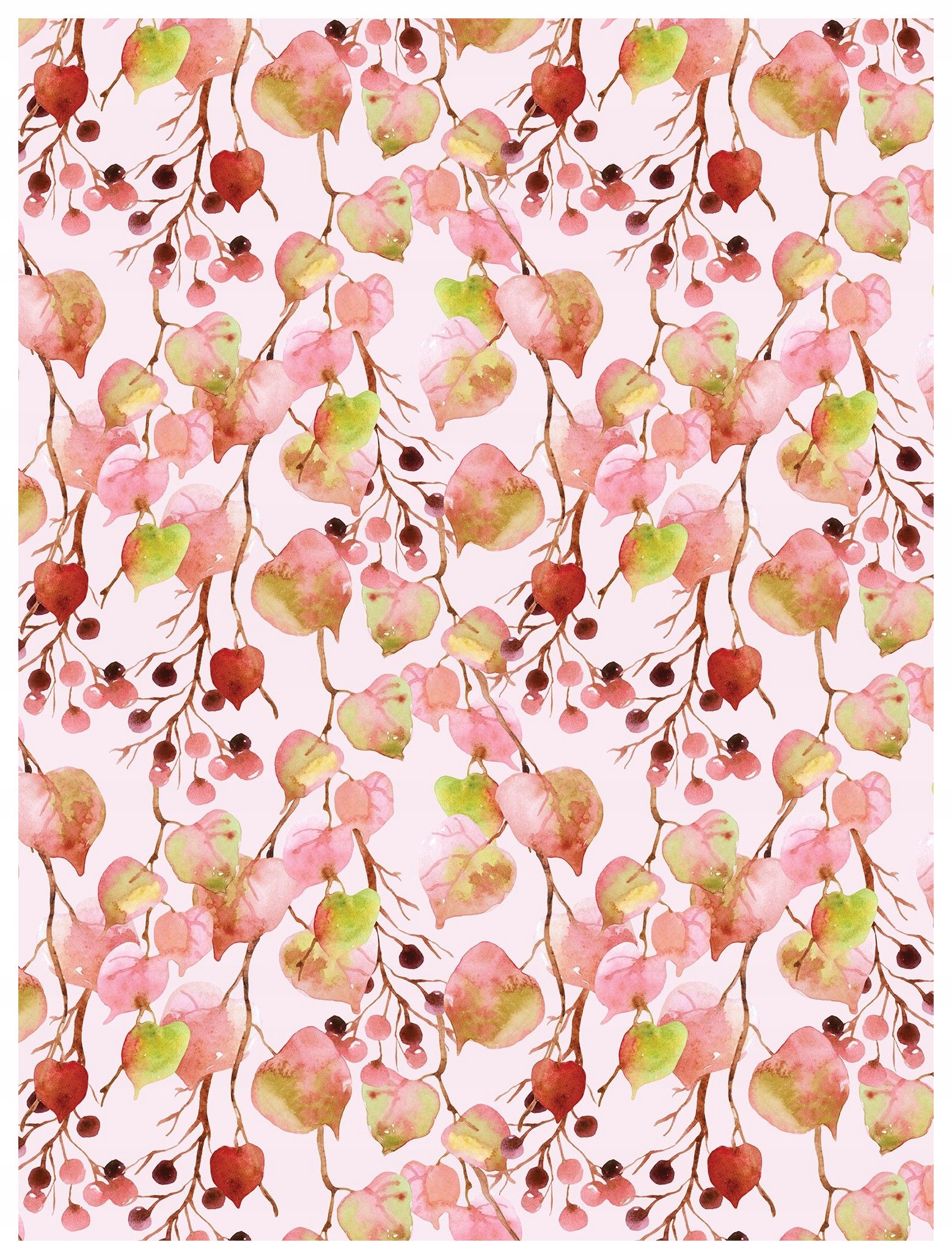 Fototapeta Růžové bobule Listy Akvarely vinylová 184x254 lepidlo