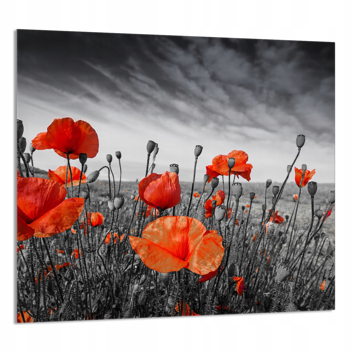 Skleněný Panel Do Kuchyně 65x60 Maki Tvrzené Sklo