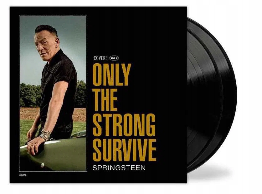 Springsteen Bruce: Only The Strong Survive 2Vinyl (lp)