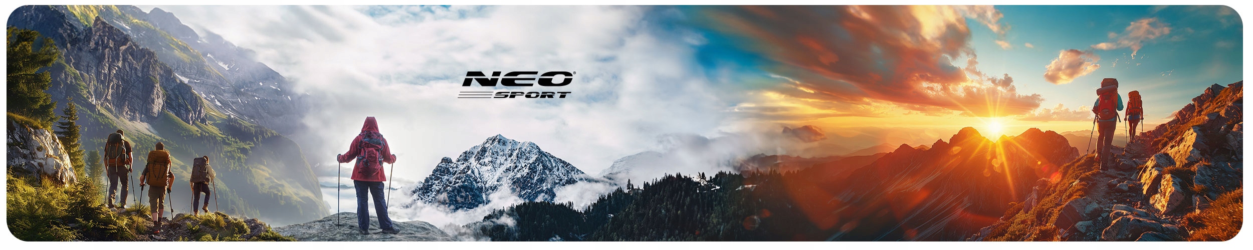 KIJKI DO NORDIC WALKING KIJE TREKKINGOWE DO CHODZENIA REGULOWANE 2szt. Liczba segmentów 3