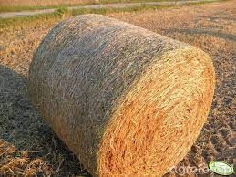 Siatka rolnicza Rubanet 1,23 x 2000 Długość 2000 m