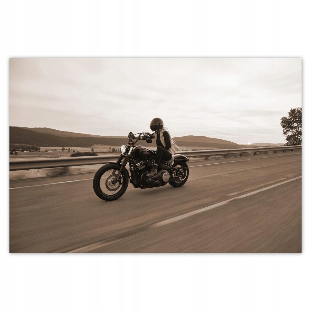 

Plakat Naklejka 60x40 Harley Davidson Motocykl