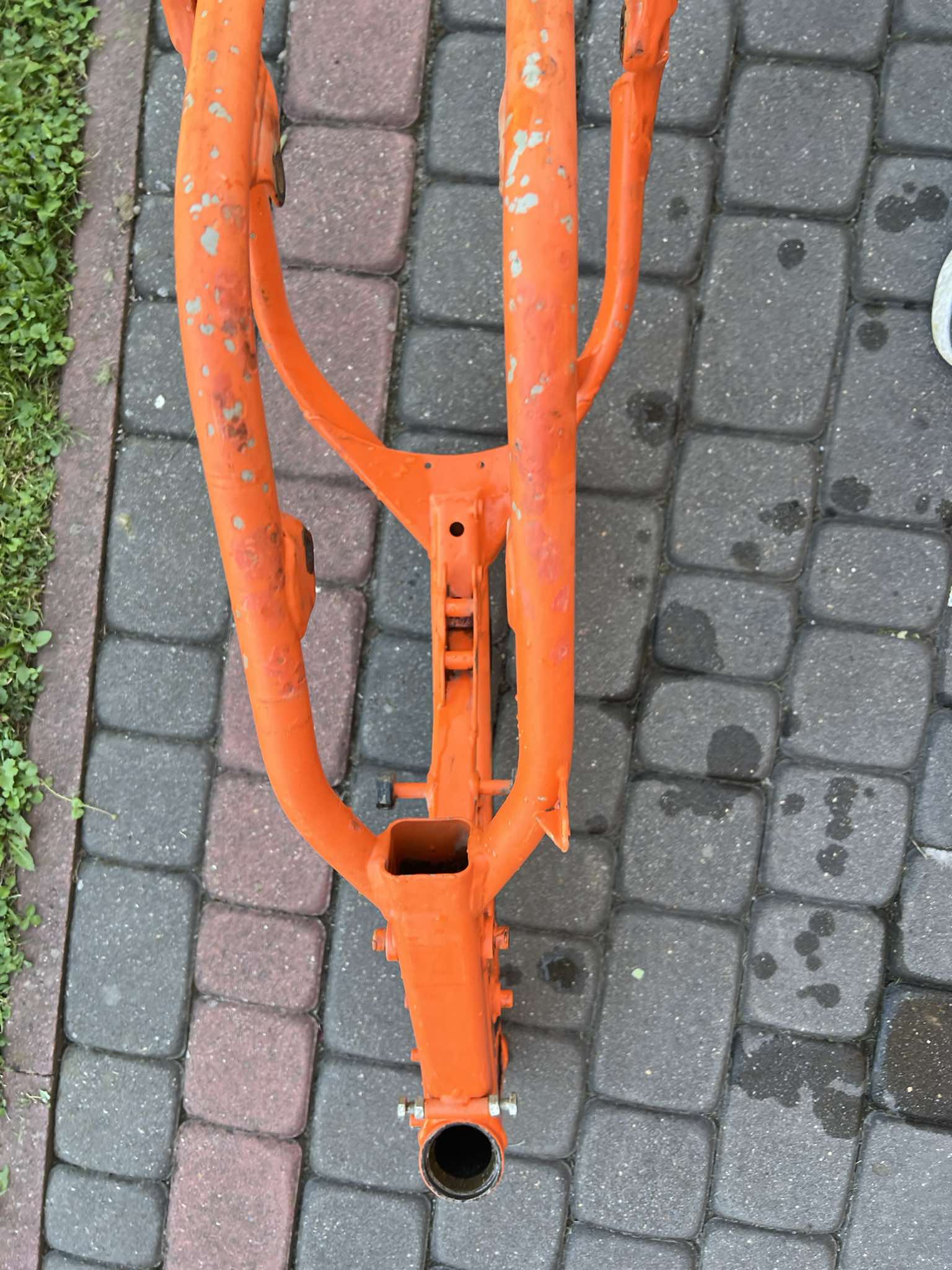 ALT