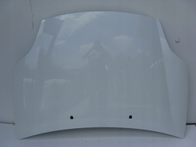bonnet front FIAT BRAVO II 296/A