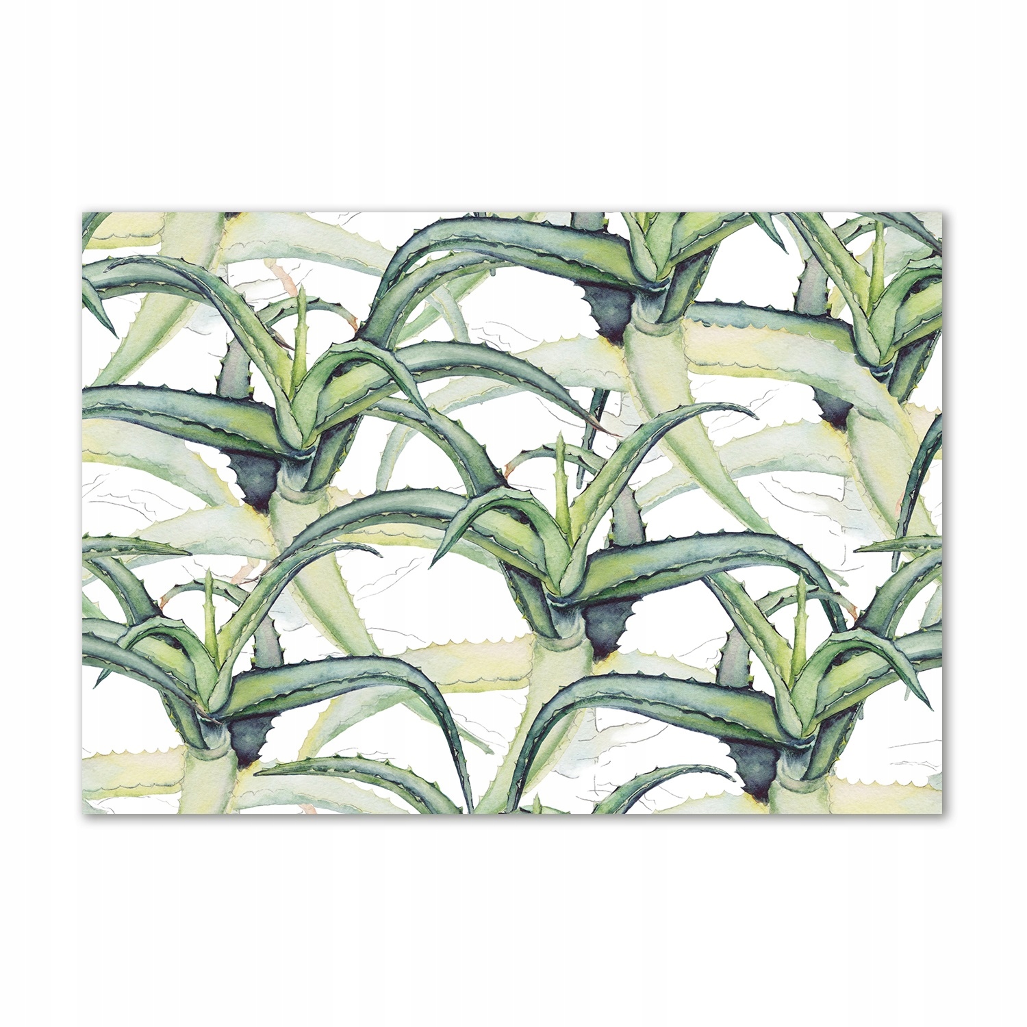 

Obraz zdjęcie nowoczesny akrylowy Aloes 100x70 cm
