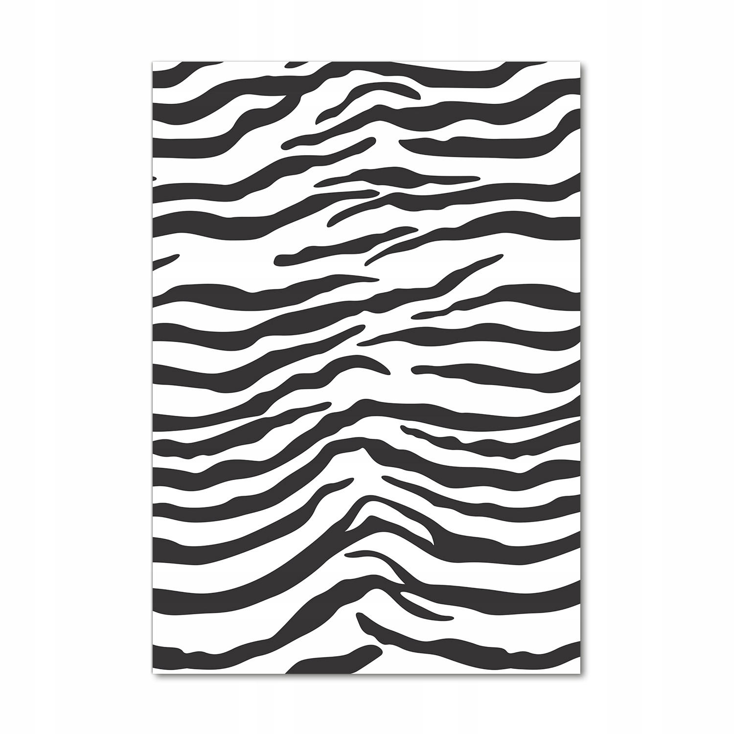 

Foto obraz akrylowy na ścianę Zebra tło 70x100cm