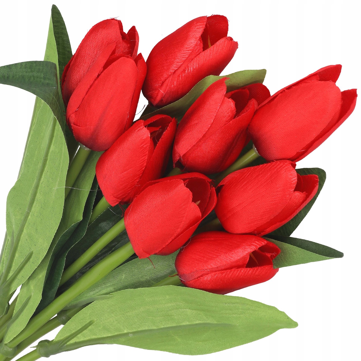 

Tulipany Bukiet Tulipanów Tulipan Liście Duży