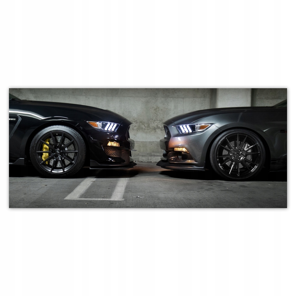 

Fototapety flizelina 211x91 Ford Mustang