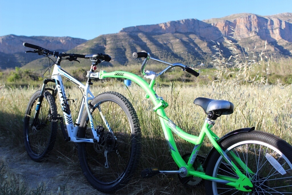 WEERIDE CO PILOT ROWER DOCZEPIANY DLA DZIECKA BIAŁ Marka WeeRide