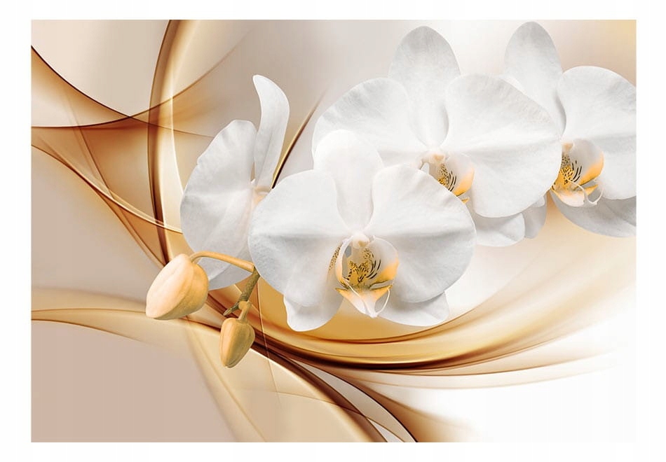 

Fototapeta - Kwiat orchidei - 350X245