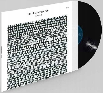 Tord Gustavsen Trio Seeing Lp Winyl Ecm