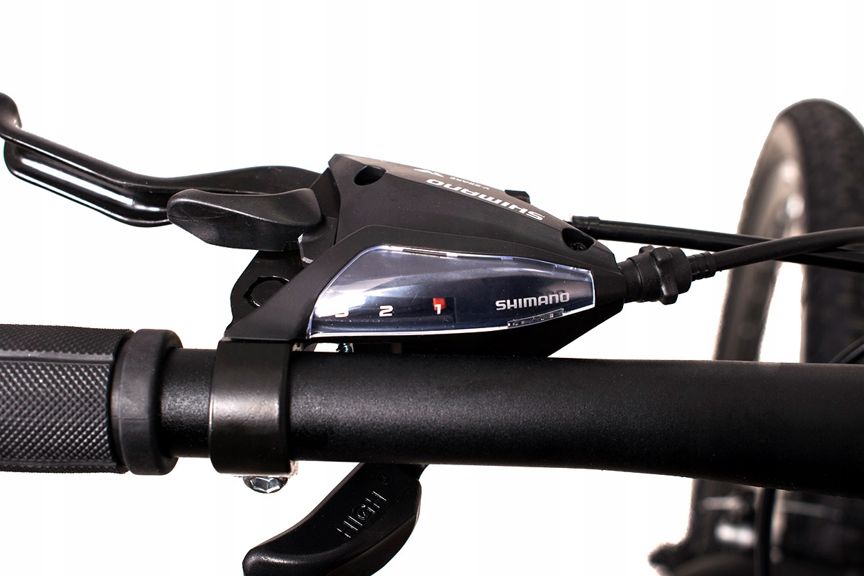 ROWER MTB 29 KANDS TRAVELER RAPTOR XR SH ALTUS ziel. 21" Kolor zielony