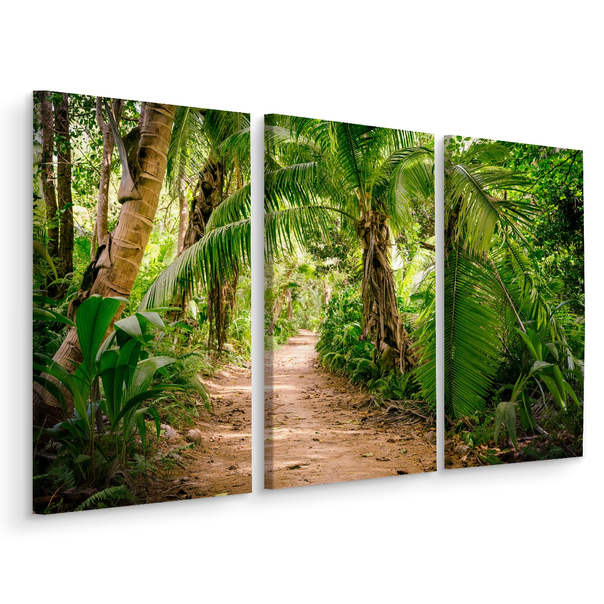 

Obraz Tryptyk Ścieżka w Dżungli Natura 3D 150x100