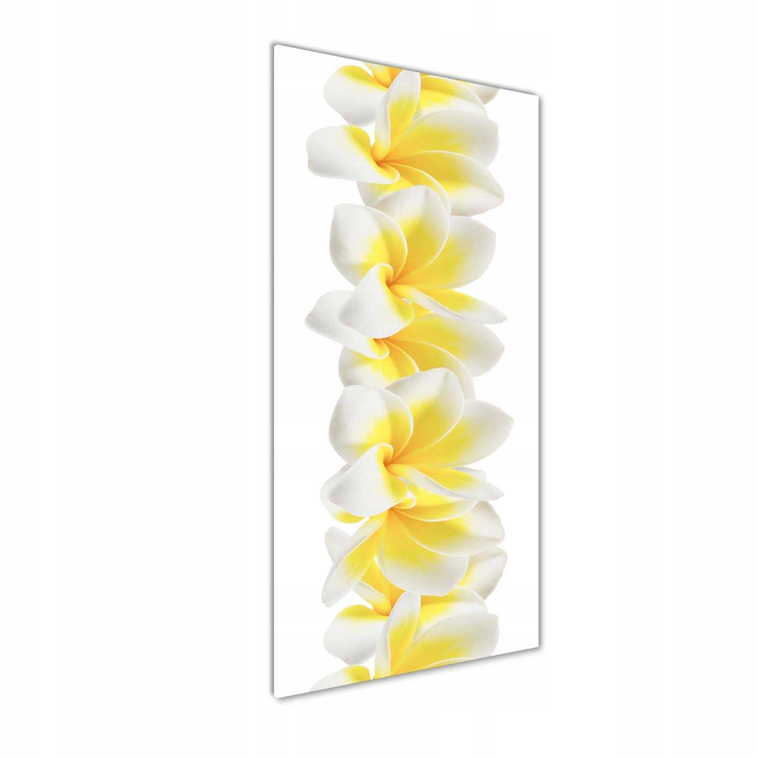

Foto-obraz szkło hartowane Plumeria 50x125 cm