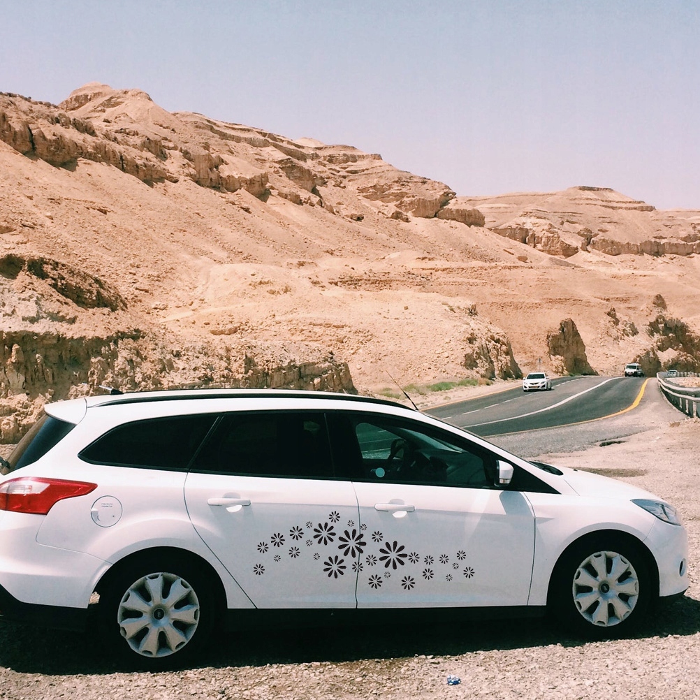 Naklejka na samochód Laptop Seria roślin Okno Producent ABW