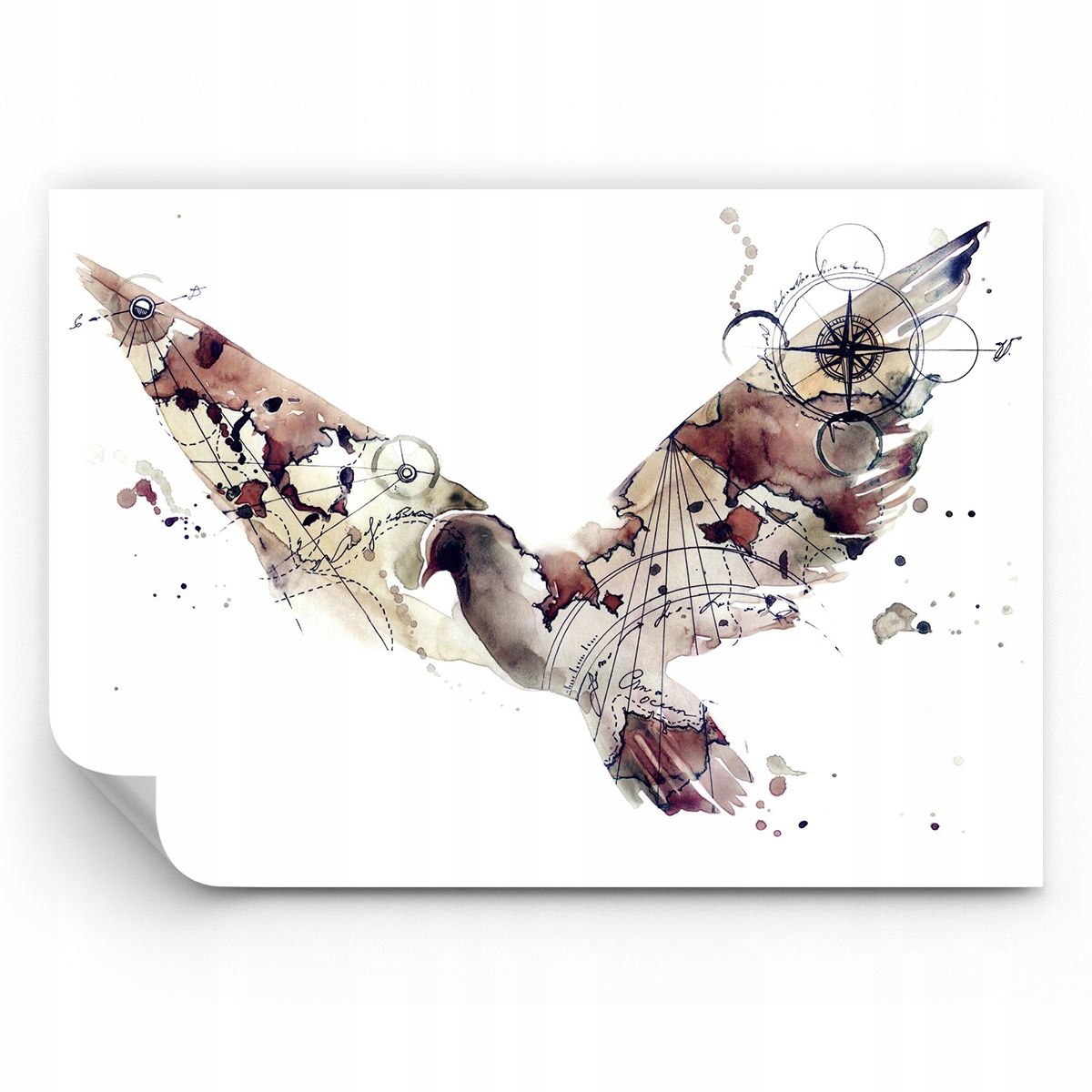 Fototapeta Ptaki Tapeta Na Ścianę Do Sypialni Salonu 250x175 Ps