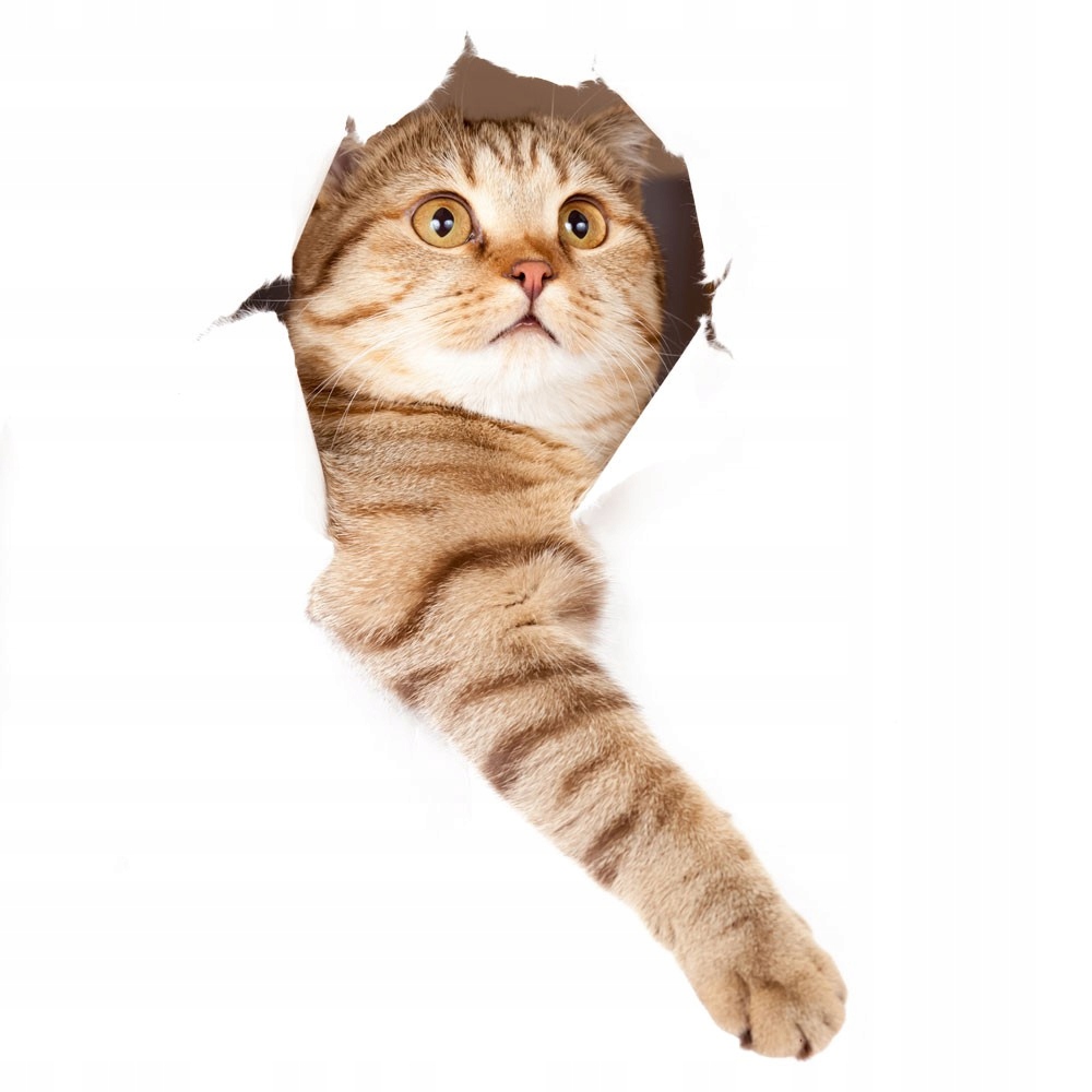 NAKLEJKA 3D NA ŚCIANĘ KOTEK NALEPKA Z KOTEM