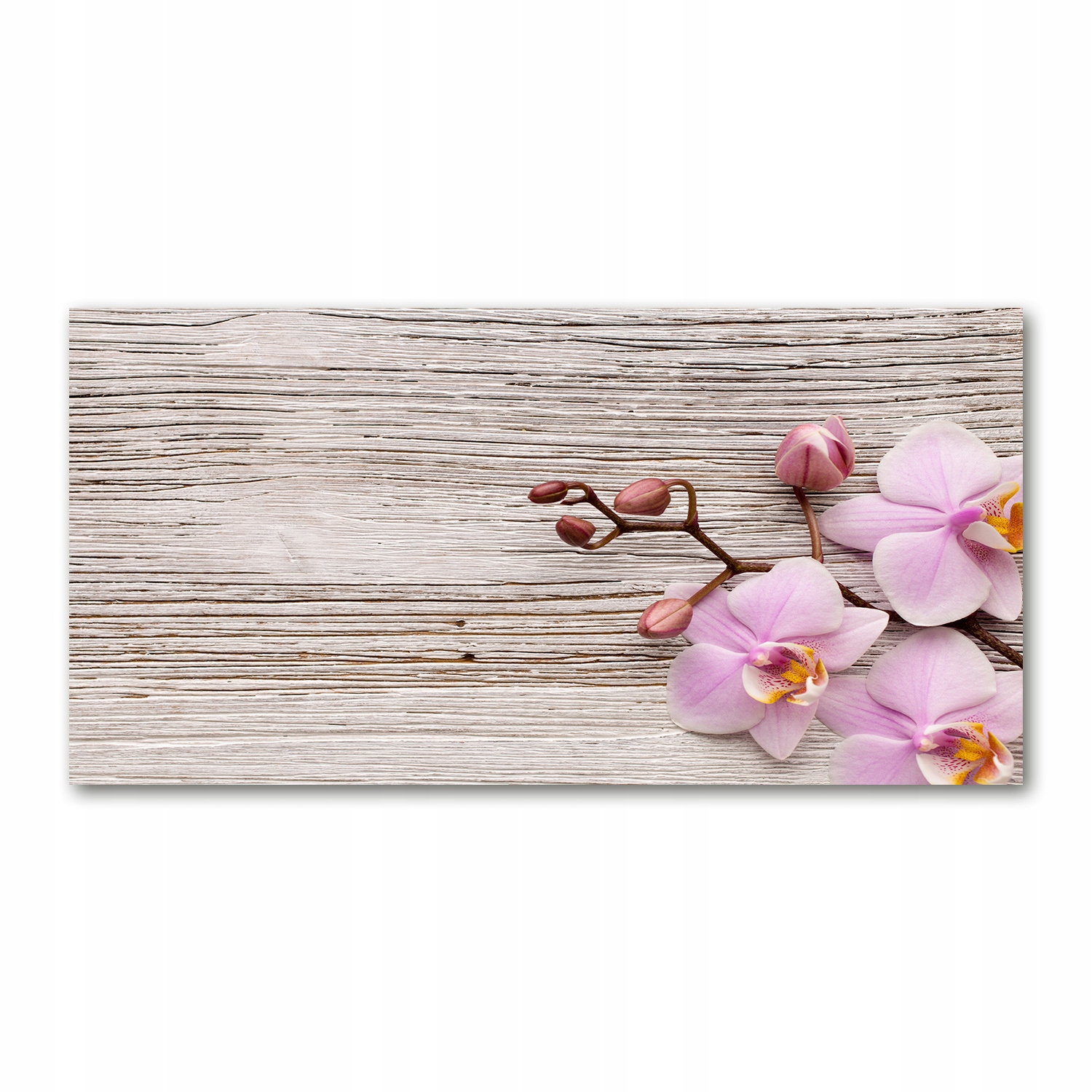 

Foto-obraz akrylowy Orchidea na drewnie 140x70 cm