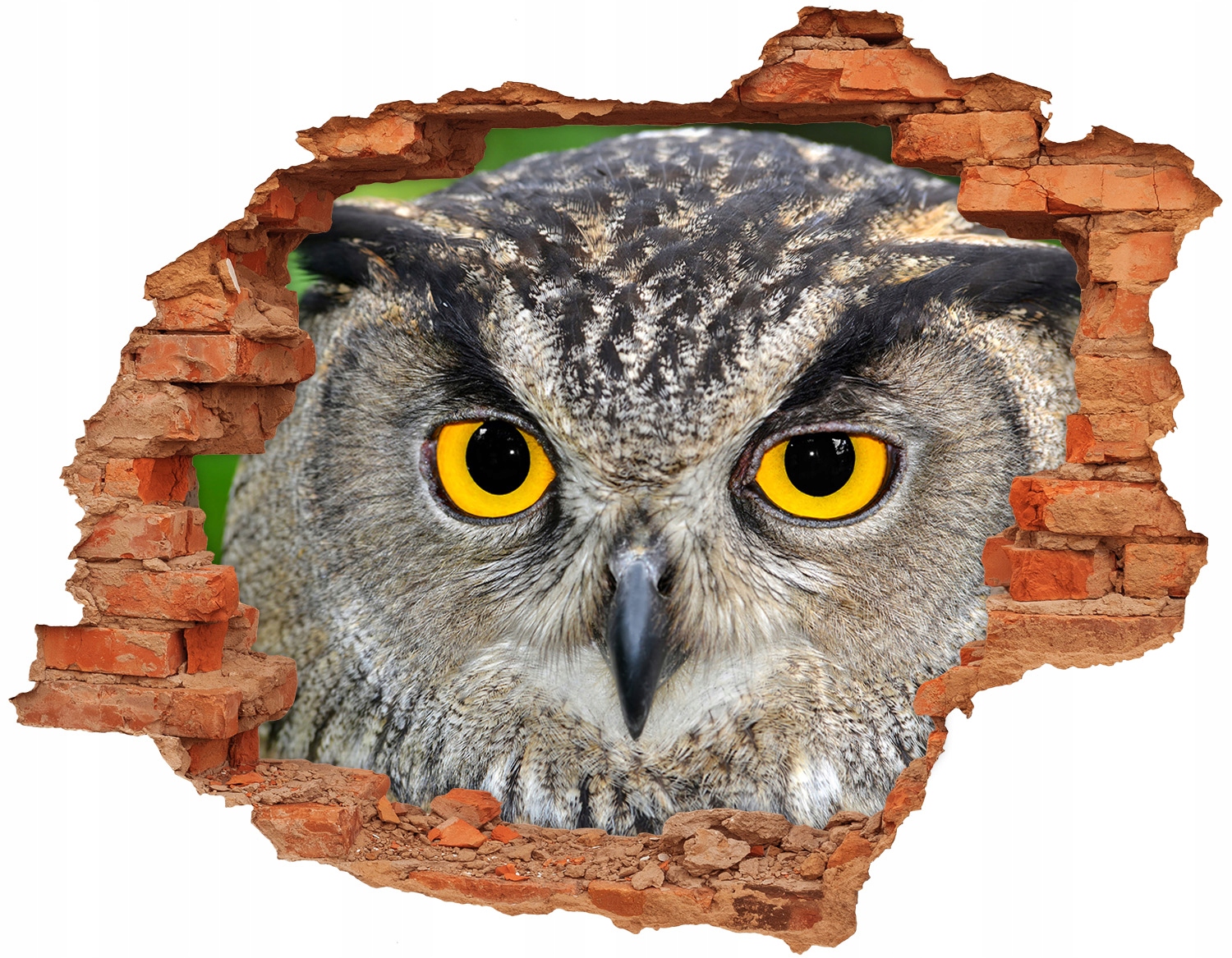 

Dziura 3d fototapeta na ścianę Naklejka Sowa 90x70