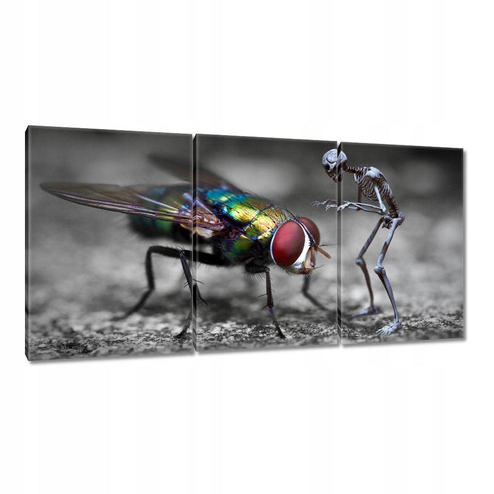 

Obrazy 120x60 HardCore Design Photo Hc