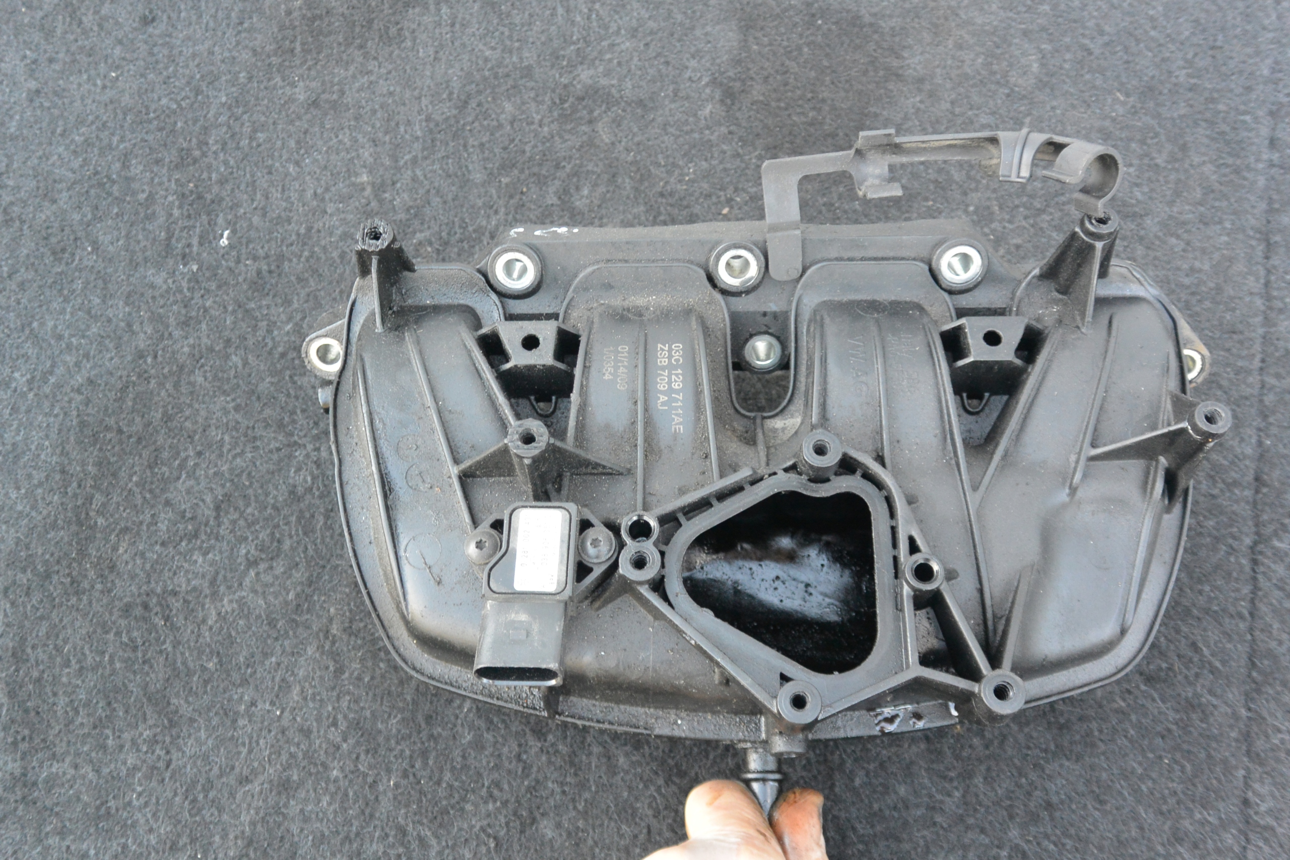 F3d8e81c4b37824bb870d1e7226a