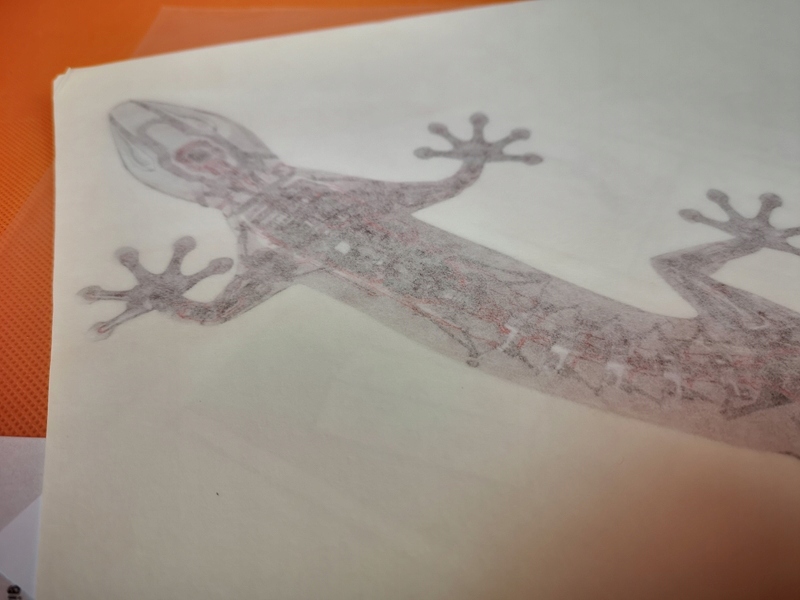 Audi Naklejka GECKO TECHNOLOGY DESIGN Quattro ORI 4m0064317a Producent Audi