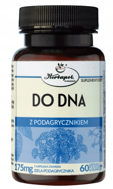 

Do Dna Z Podagrycznikiem 60 kapsułek Herbapol