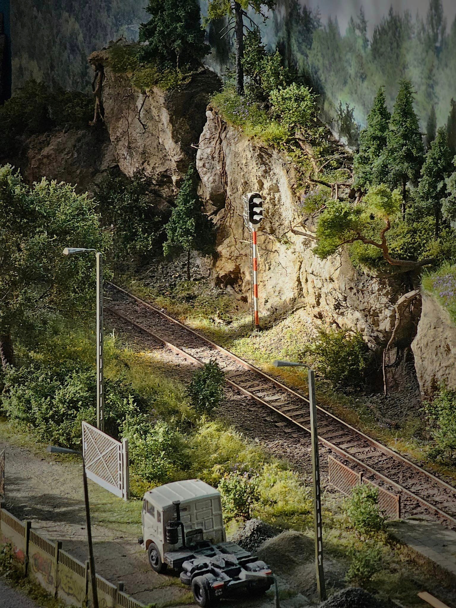 Freon KLON1 - Klon , wysokość 18-20 cm System każdy