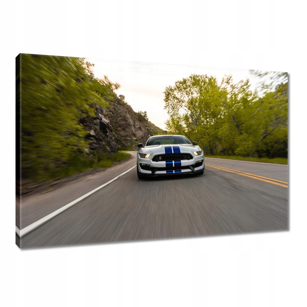 

Obrazy 90x60 Ford Mustang Samochód Usa