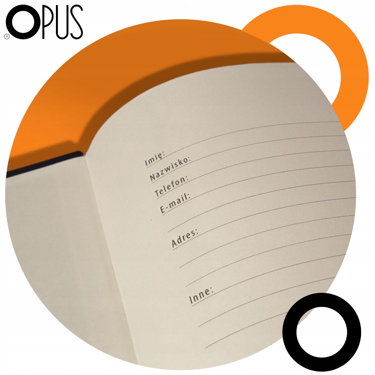 Notes biurowy Notatnik Planner w kratkę 96 kartek A4 OPUS O.NOTE Berlin Kod producenta O.809950