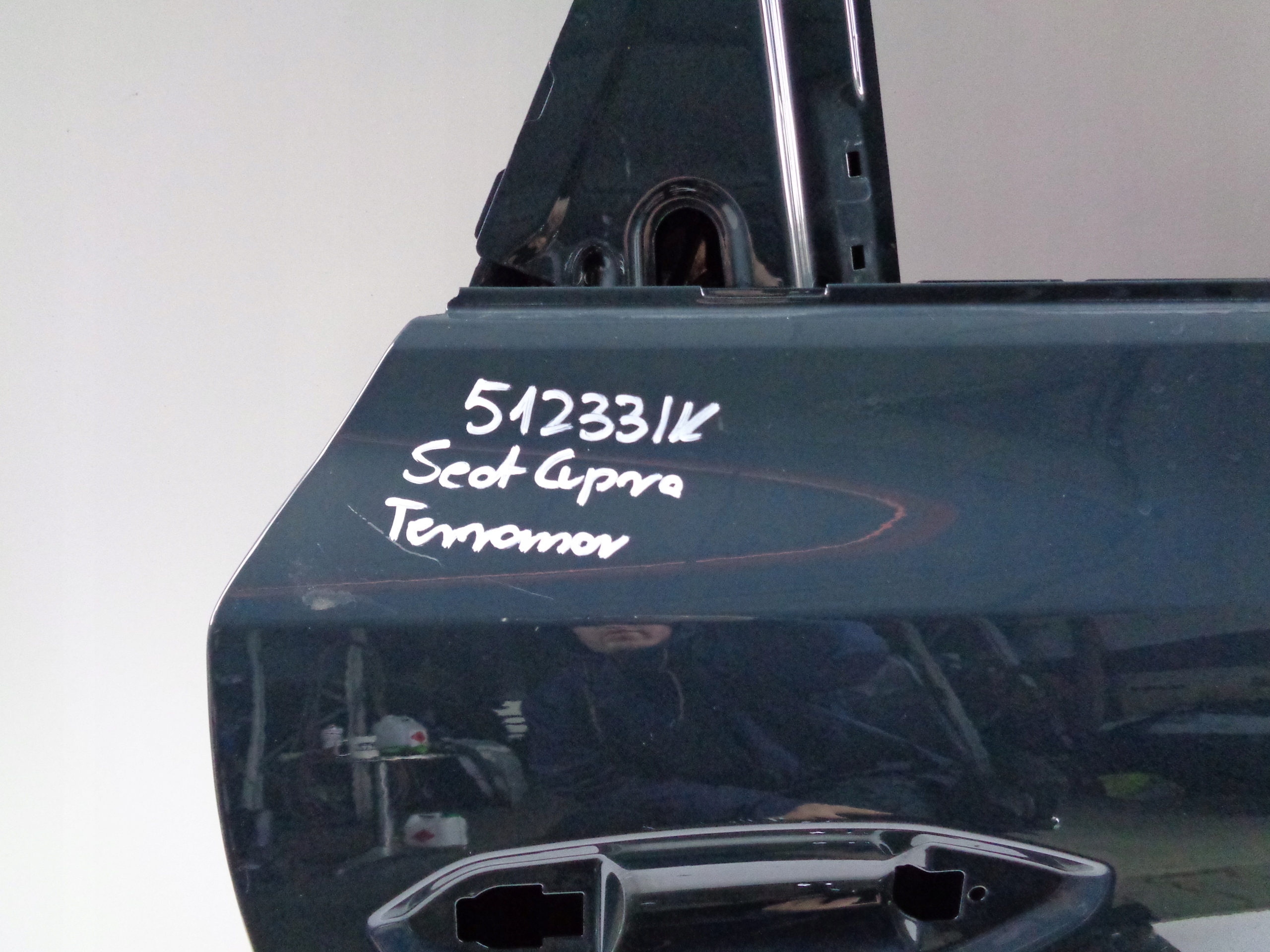 door right rear. SEAT CUPRA TERRAMAR NR 51233