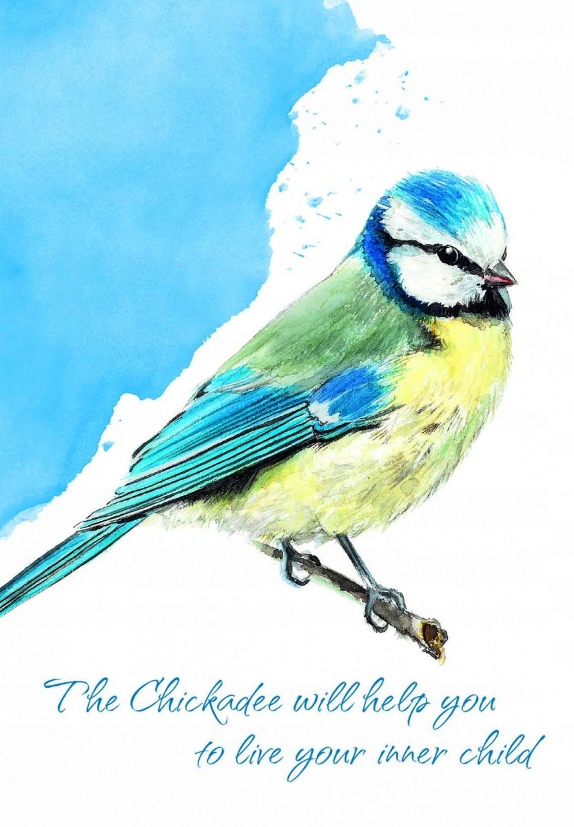 CARTAMUNDI Karty Tarot Power Animal Cards Typ Podstawa