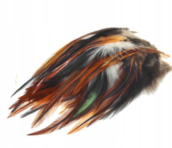 Pióra siodłowe Rooster Middle 10-15cm 25 szt