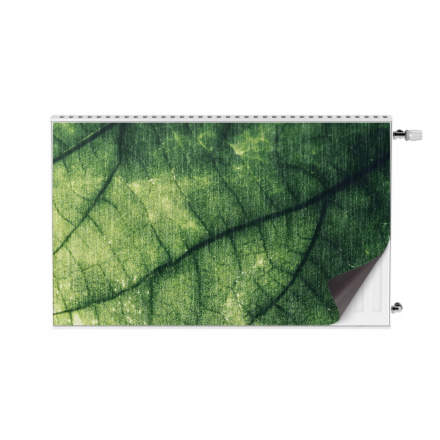 Do kuchyně magnet na radiátor 100x60 Listy příroda