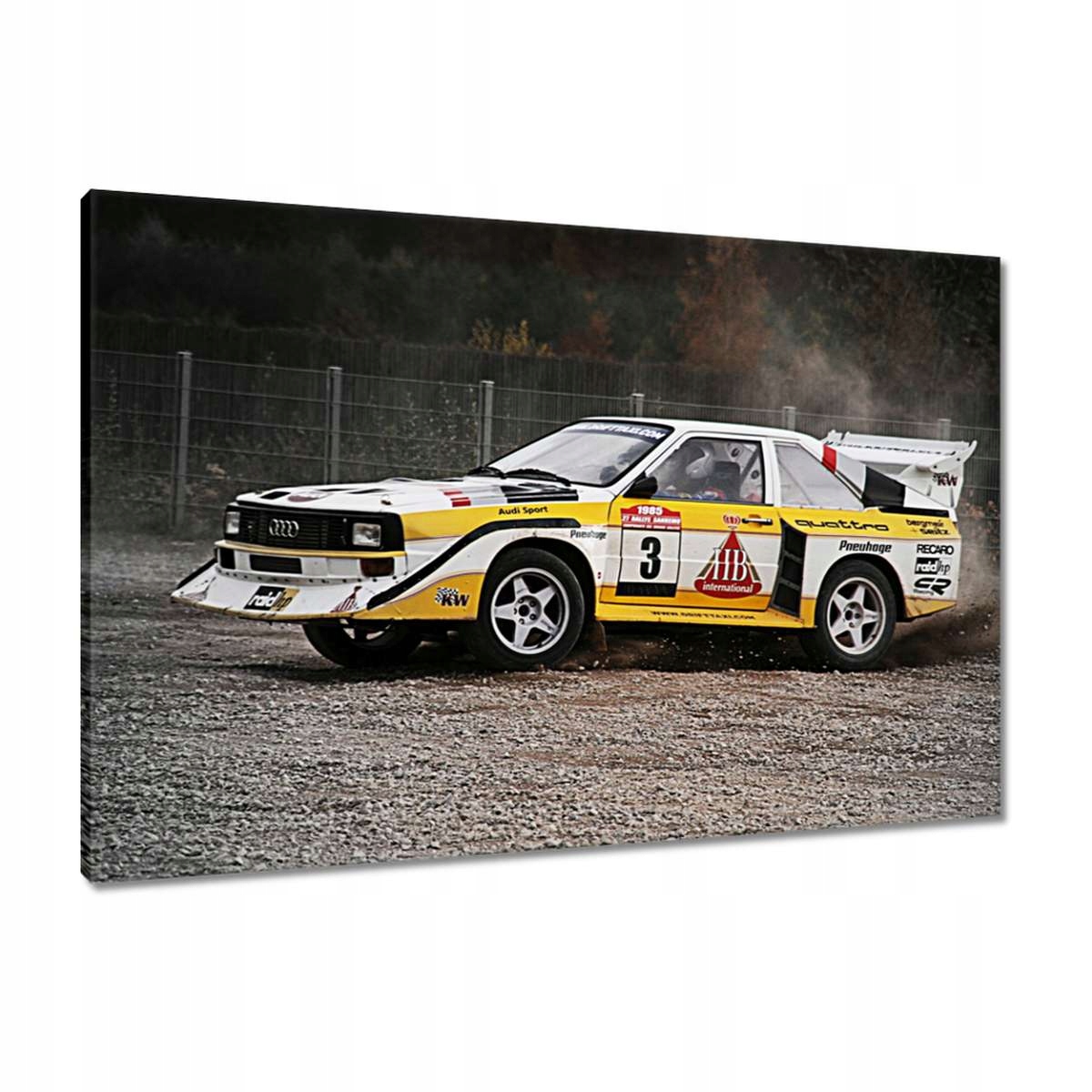 Obrazy 90x60 Audi Quattro Drift bokiem
