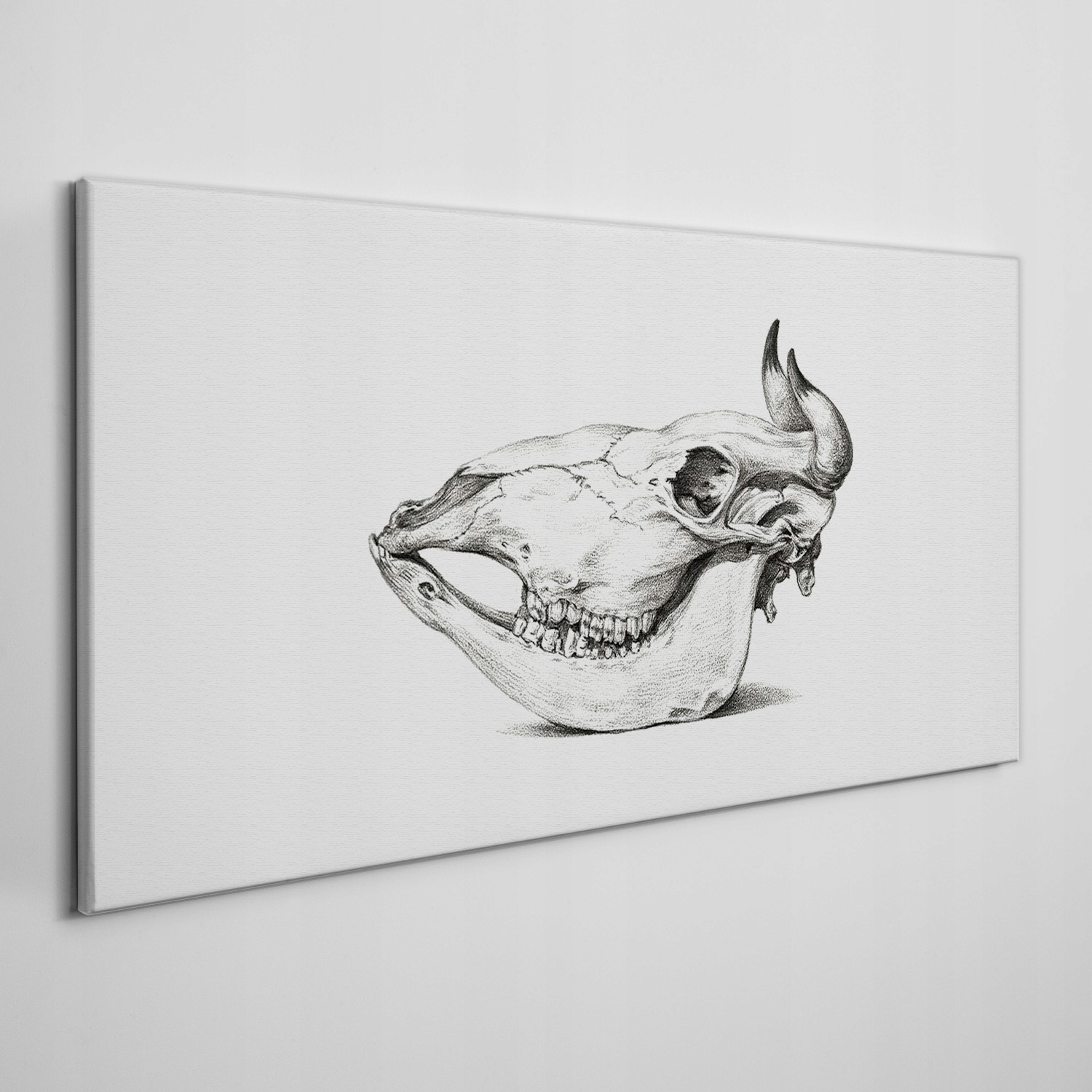 

Foto-obraz na ramie płótno Krowa czaszka 140x70 cm