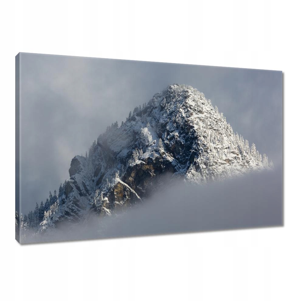 

Obrazy 90x60 Zima Góra Śnieg Mgła