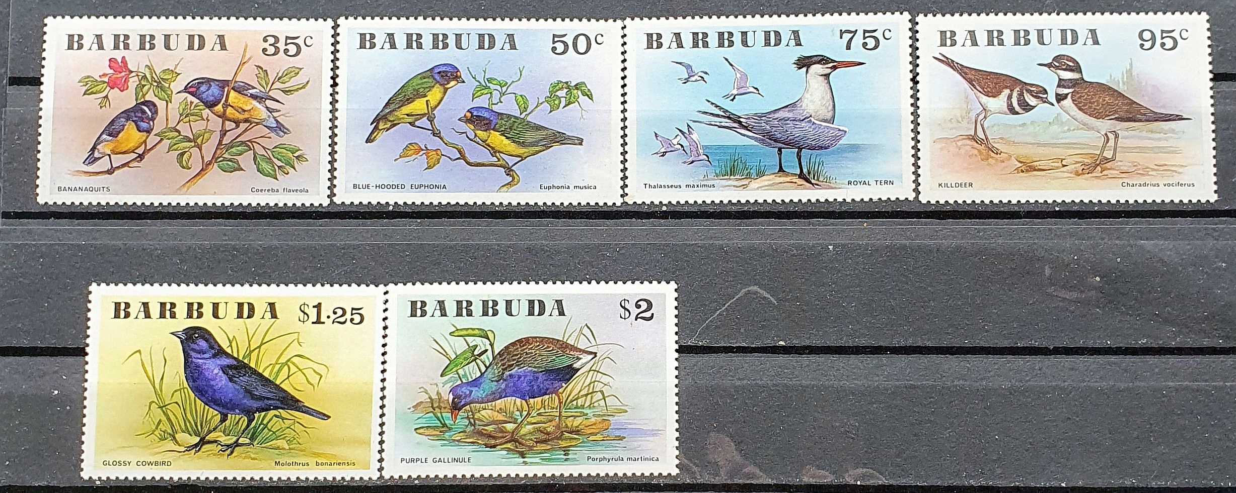 BARBUDA TEMAT PTAKI ** 1976 MI 251-256