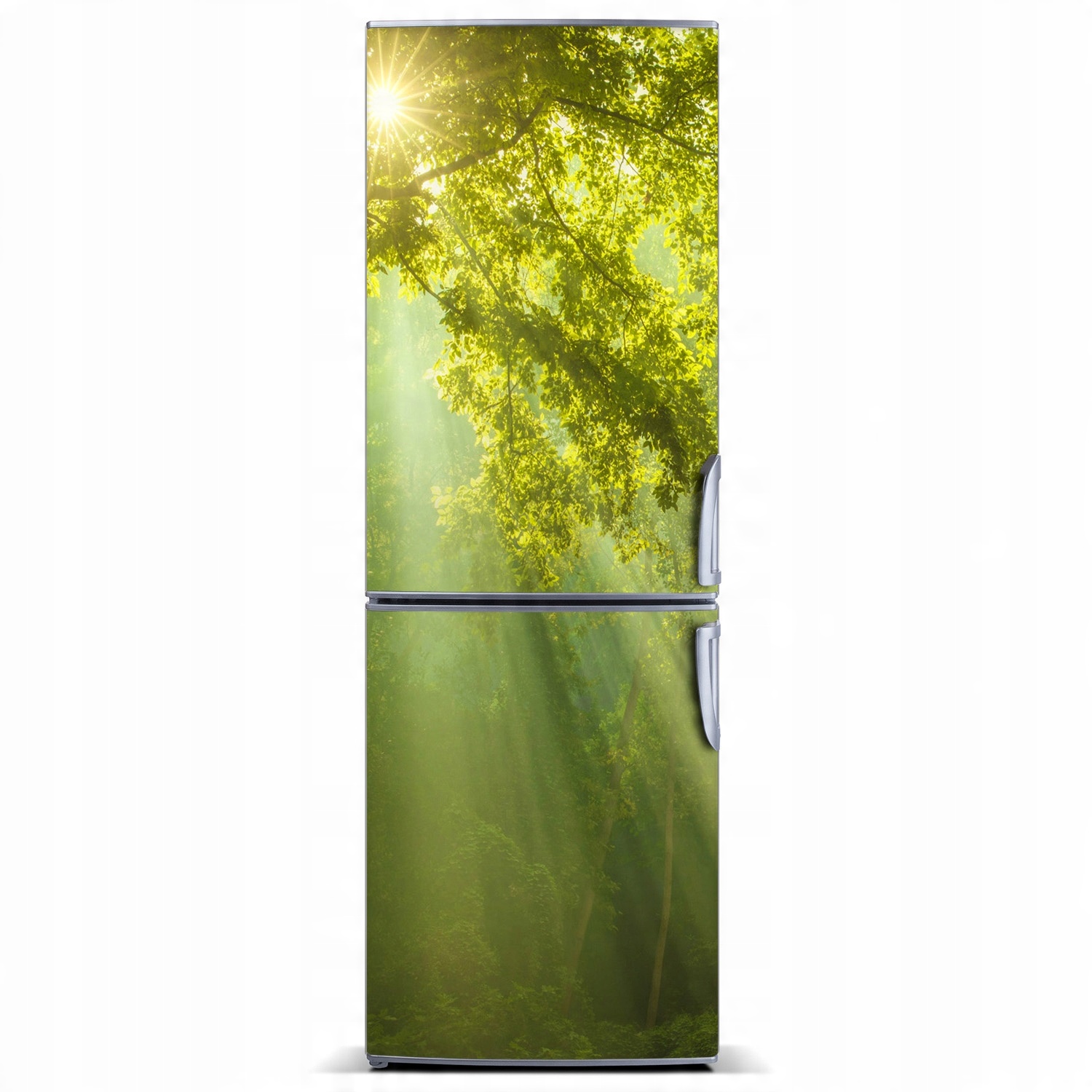 

Naklejka Tapeta na lodówkę Słońce w lesie 60x180